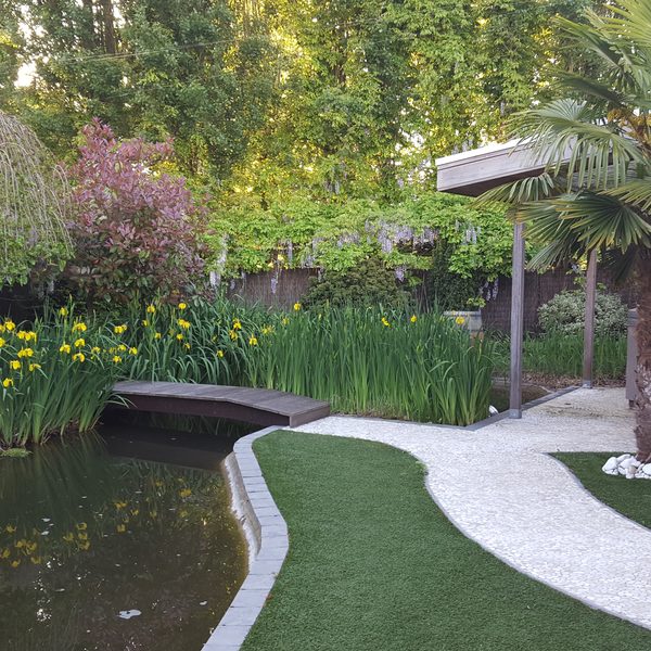 Landschapstuin met vijver